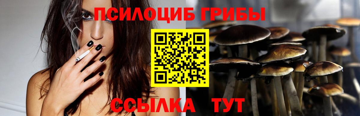 Кострома  Псилоцибиновые грибы Psilocybe  наркошоп  Вход с VPN 