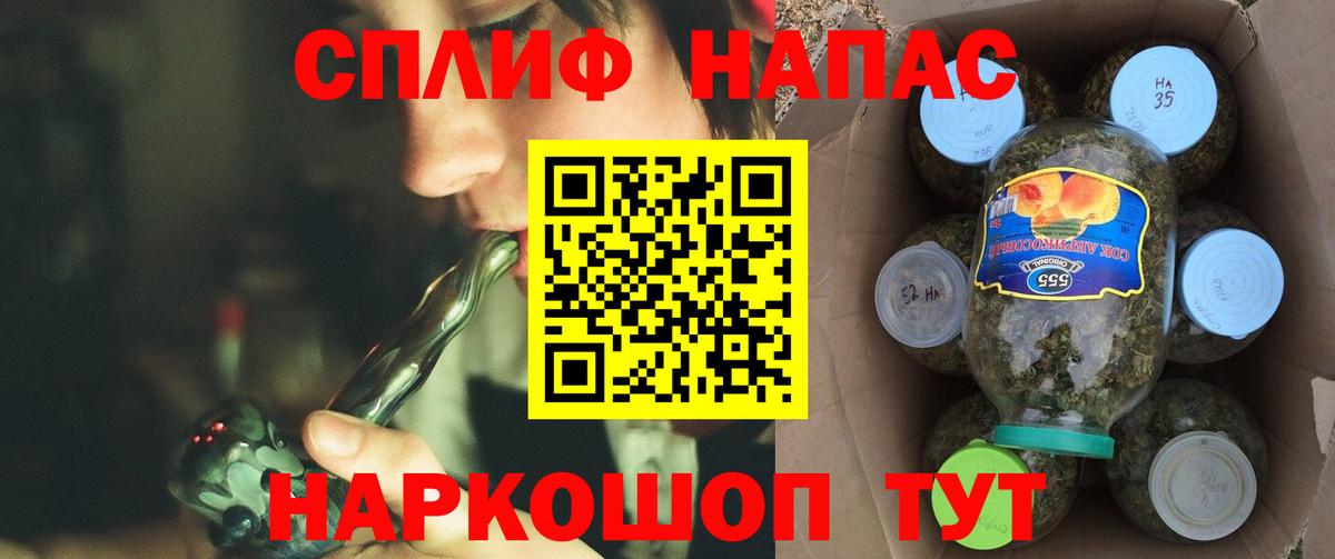 Марихуана сатива Кострома