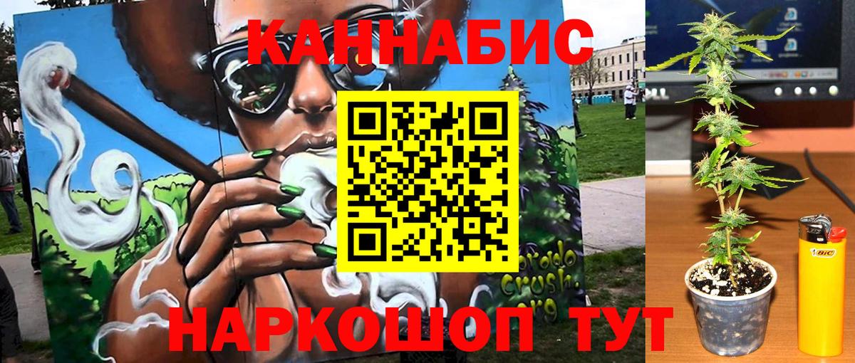 Кострома  Каннабис OG Kush  Канабис сатива  Вход с VPN 